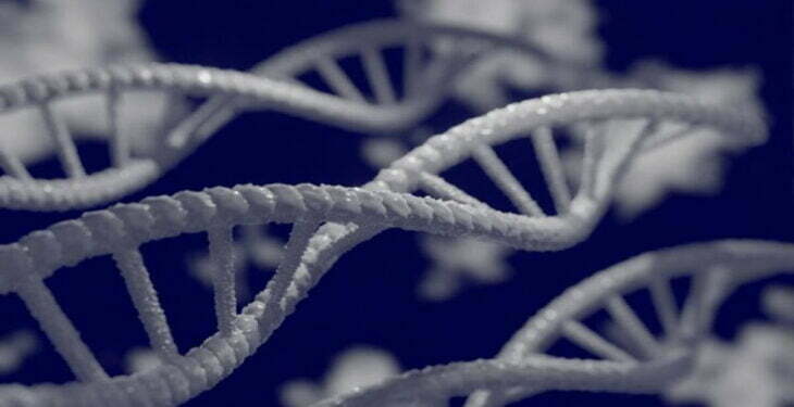 Phát hiện 155 gene mới liên quan sự tiến hóa của loài người